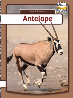 Henrik Enemark: Antelope