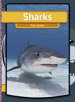 Peter Bejder: Sharks