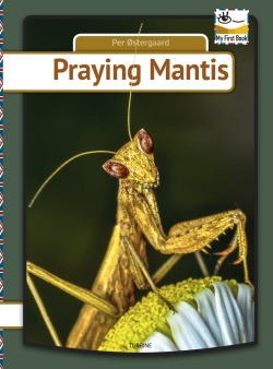 Per Østergaard (f. 1950): Praying mantis