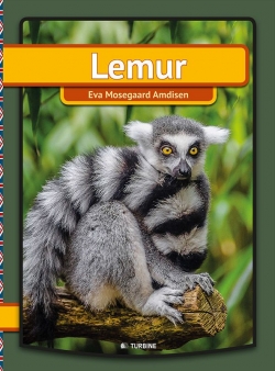 Eva Mosegaard Amdisen: Lemur